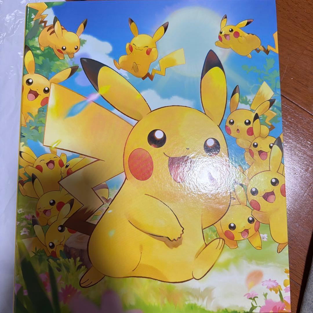 ワンピースカード、ポケモンカード、スリーブ、ローダー