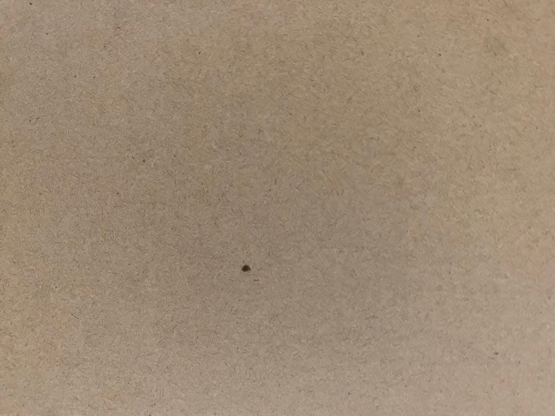 【新品未使用】壁掛け電波時計　4MN523RH05 スモールワールドプラウド