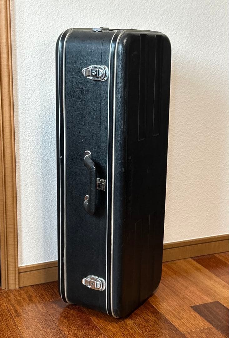 マンドリン 落合忠男1979年　ハードケース付き