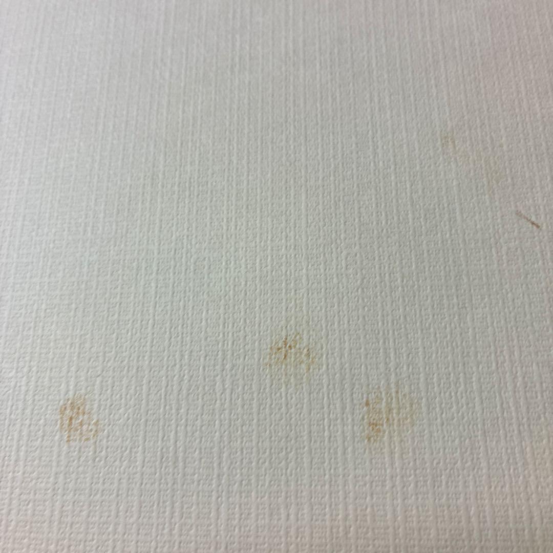 故宮博物院の名蹟 清うん壽平王き花卉山水合冊 二玄社　定価19000円