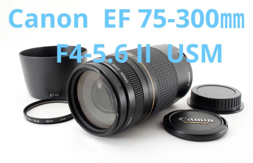 人気の望遠レンズ☆フード付き☆キヤノン Canon EF75-300㎜