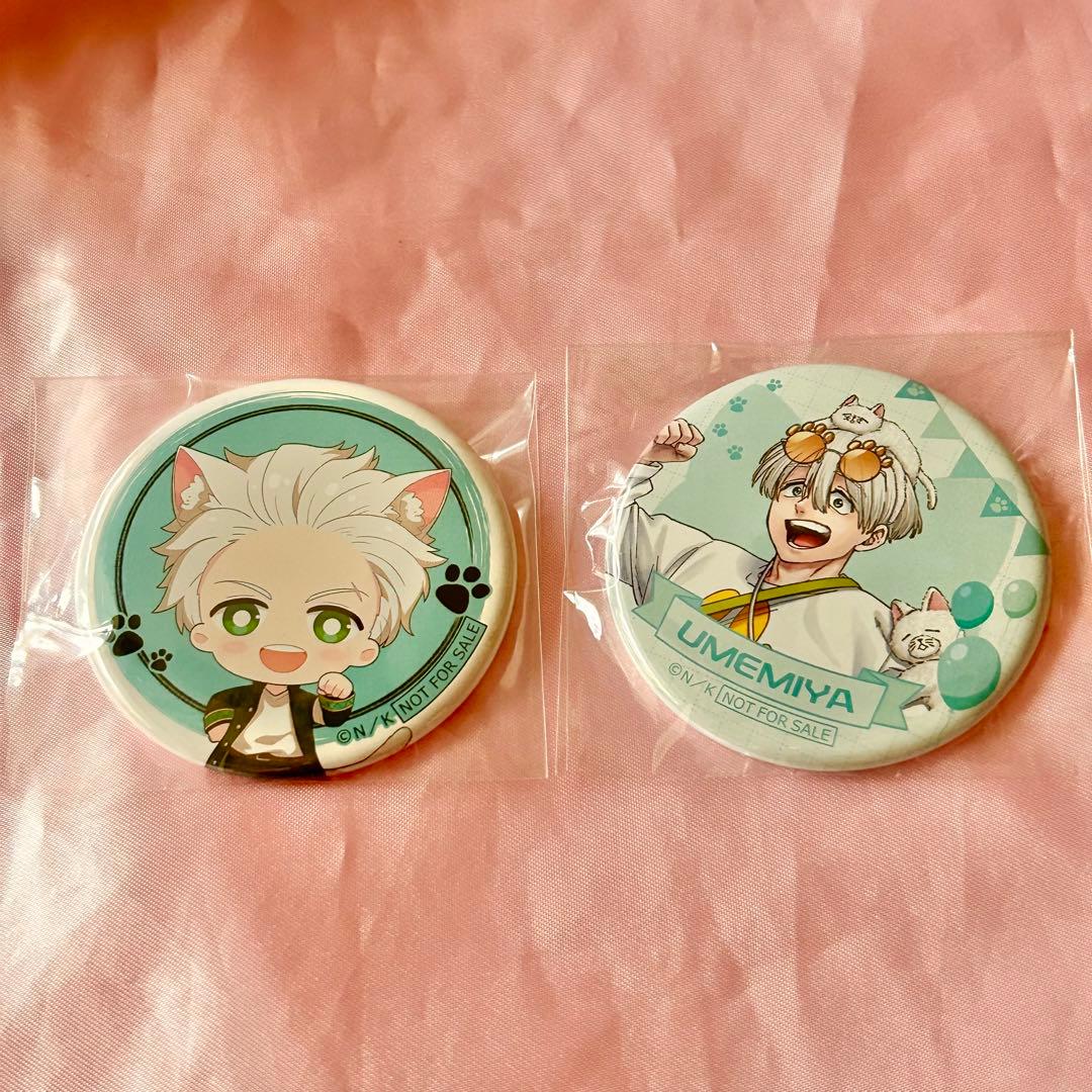 WIND BREAKER ナンジャタウン ガラポン B賞 缶バッジ 梅宮一 2点