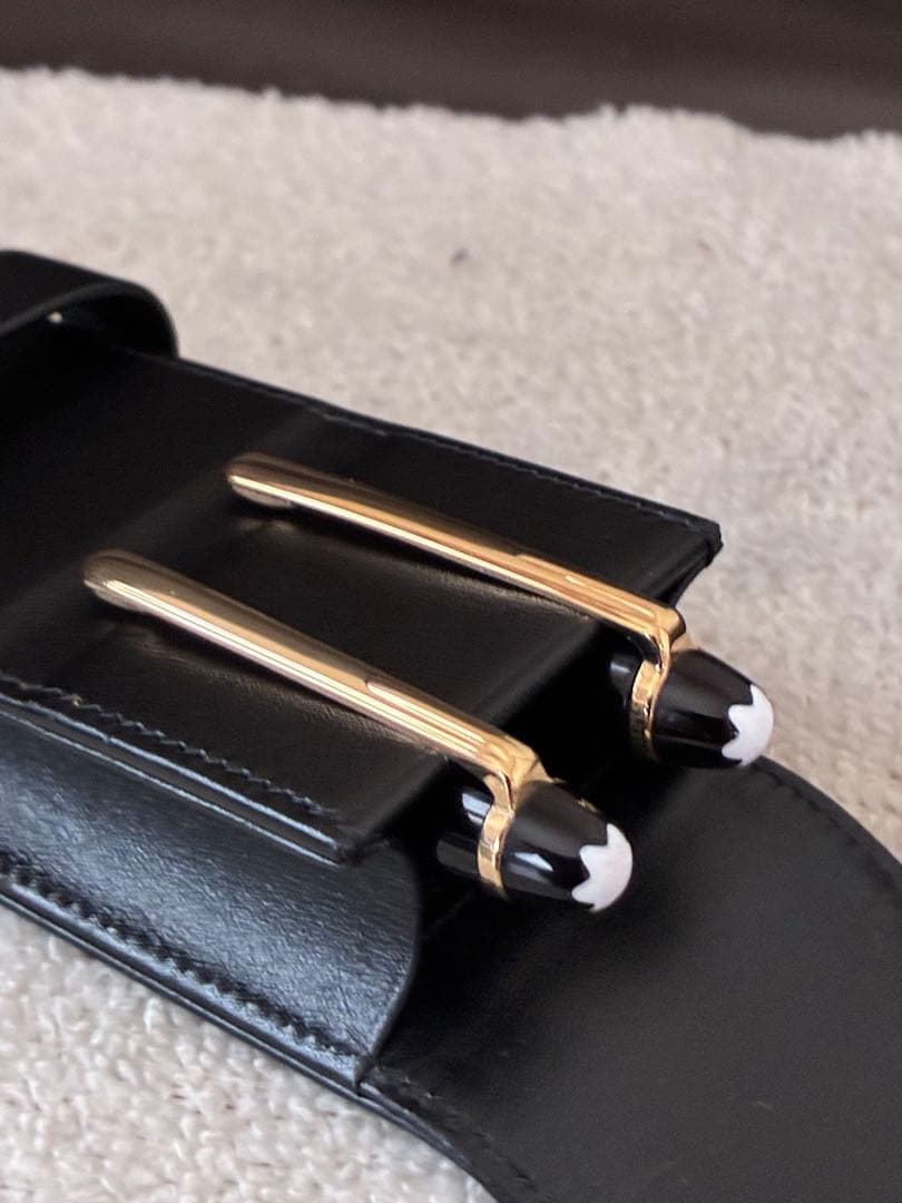 ◾️MONT BLANC SIENA◾️モンブラン シエナ◾️2本差し ペンケース