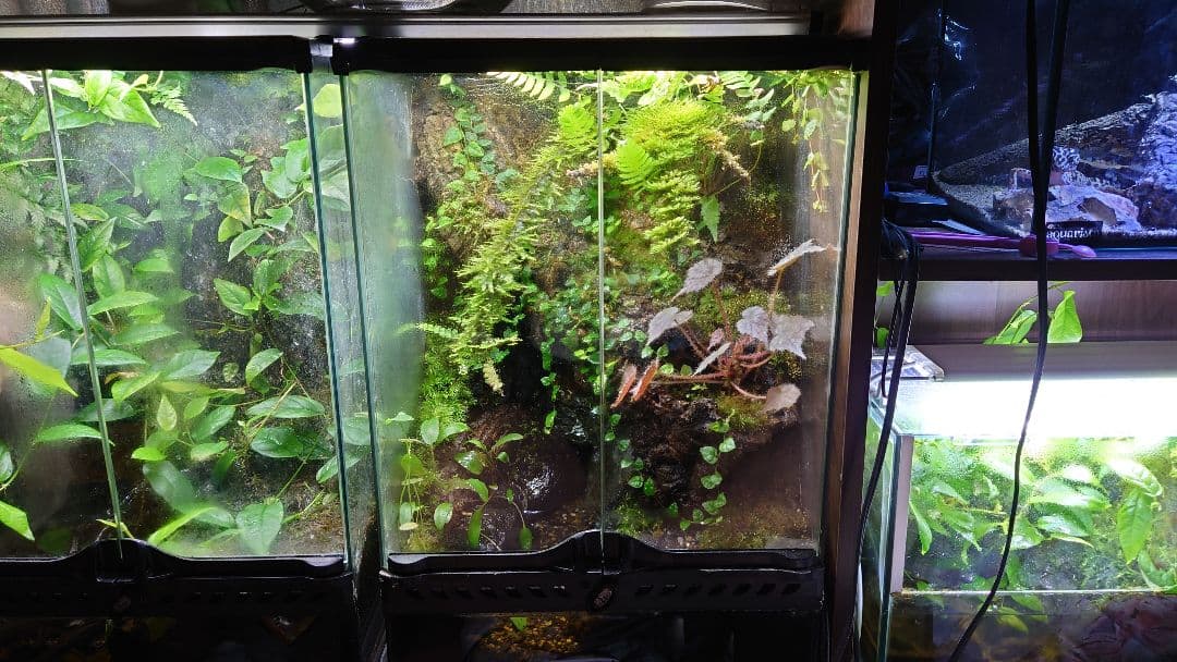 ロモノーソフ製 サモエド EXPO70 磁器製 フィギュリン ソビエト館 ソ連