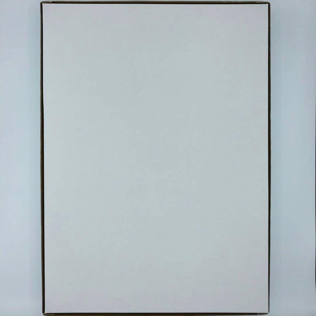 閃乱カグラ くじコレ 特賞 ヴィヴィッドアートフレーム 秘立蛇女子学園 雅緋