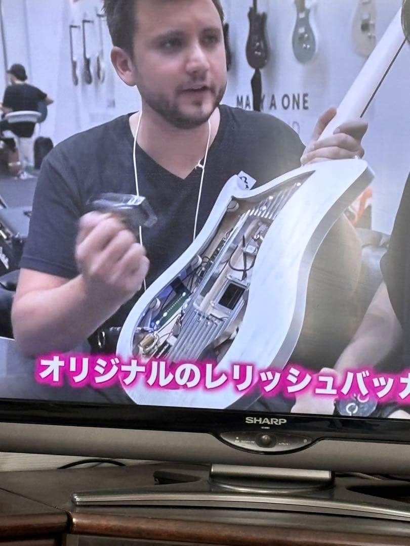 RelishGuitarsFLAMDJANEワンタッチ交換用PU 9組付