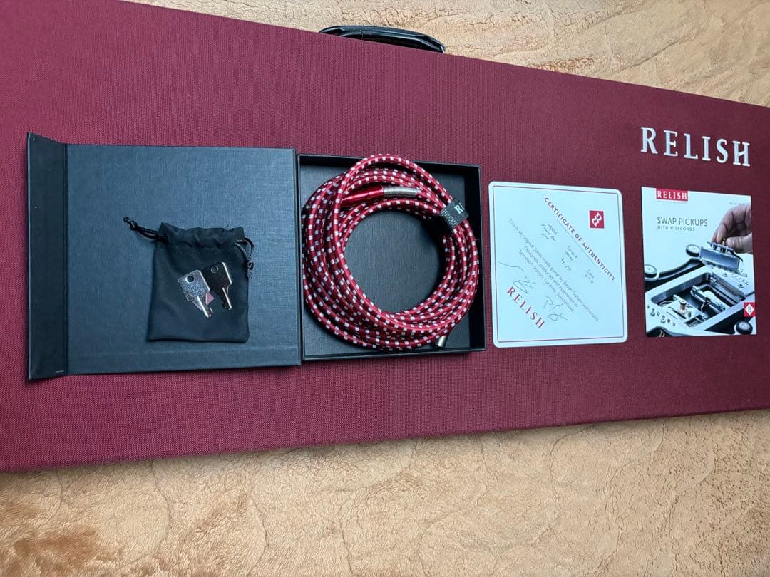 RelishGuitarsFLAMDJANEワンタッチ交換用PU 9組付