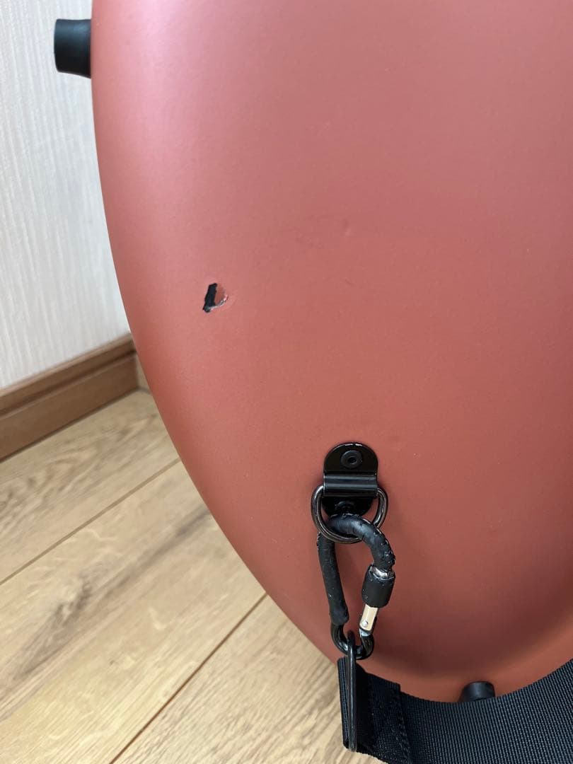 【チェロ】Carlo Giordano SC-100 ハードケース 弓2本セット