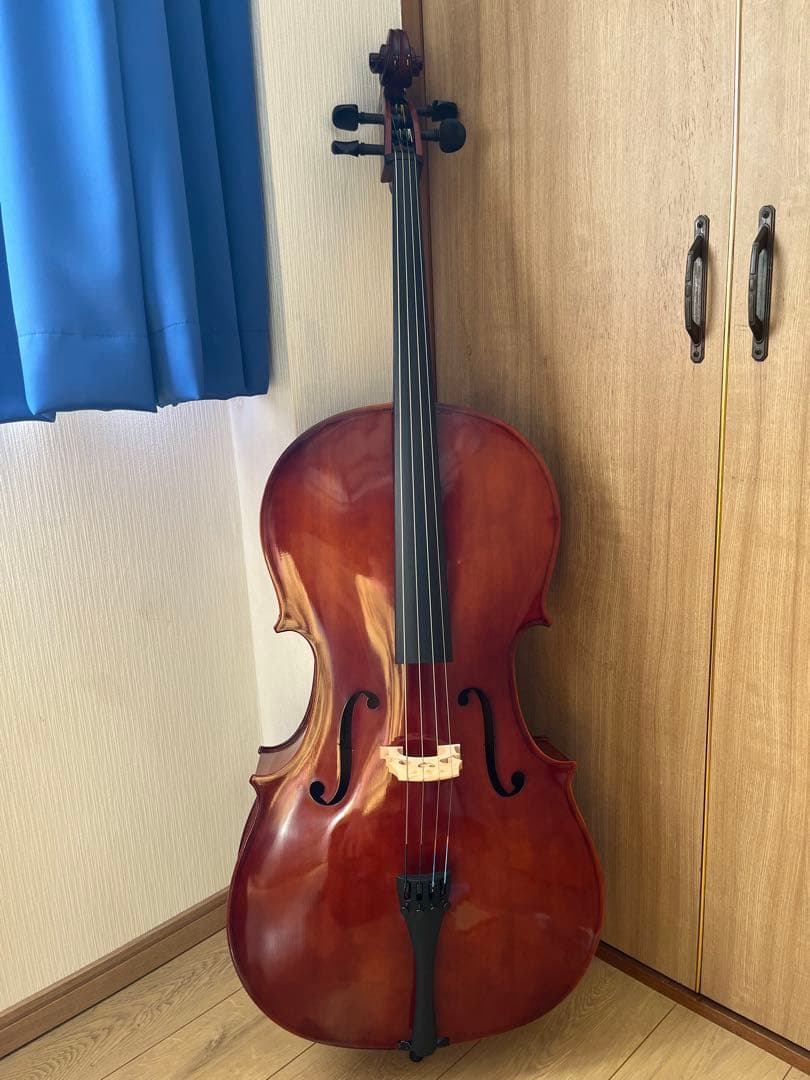 【チェロ】Carlo Giordano SC-100 ハードケース 弓2本セット