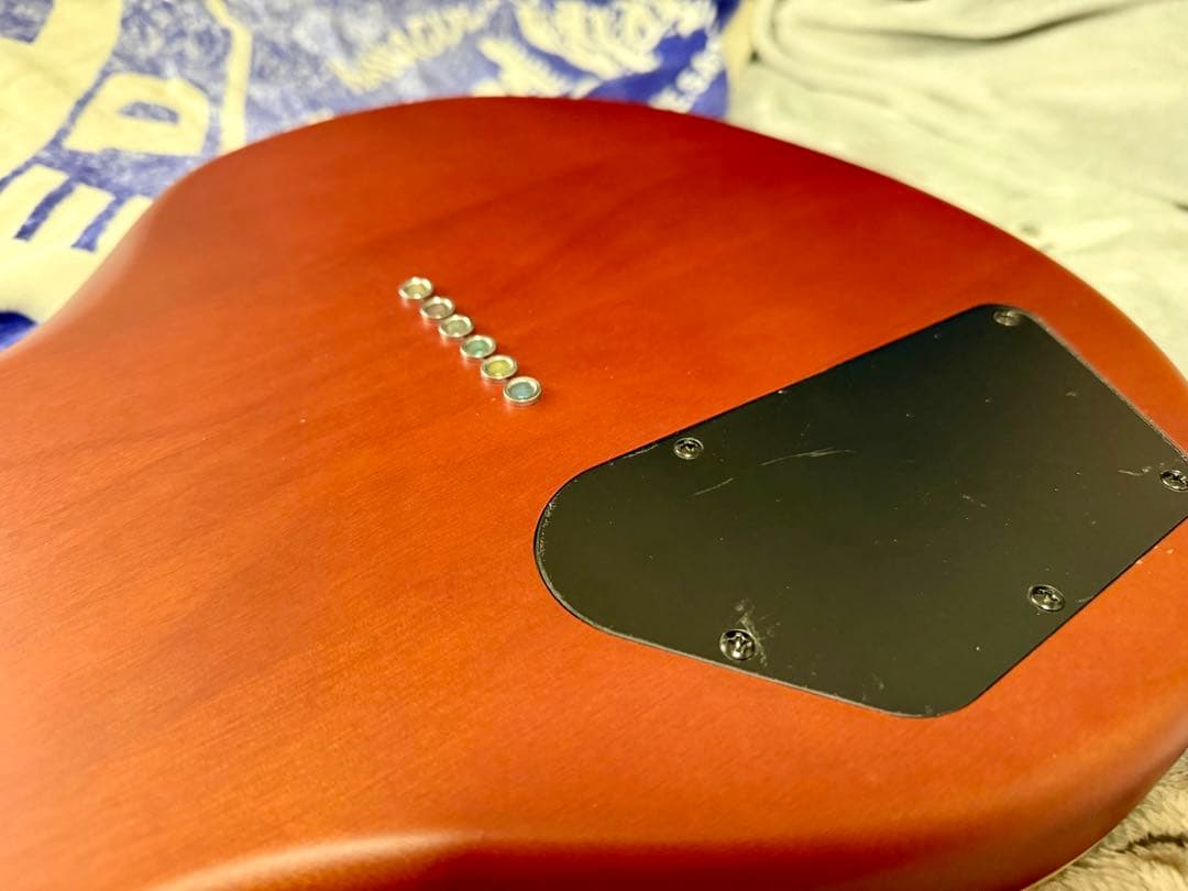 Ryoga Hornet LEC-TQM 中古改良品