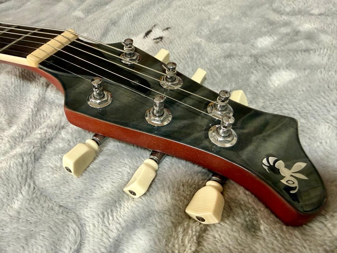 Ryoga Hornet LEC-TQM 中古改良品