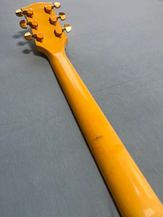 【世界に1本】Gibson USA Les Paul Custom AW Mod