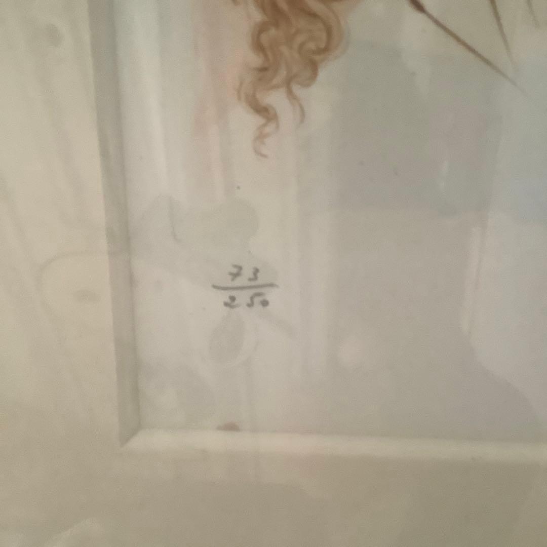 サルバドール・ダリ【至上の愛ーソロモンの歌より】銅版画、他 - メルカリ