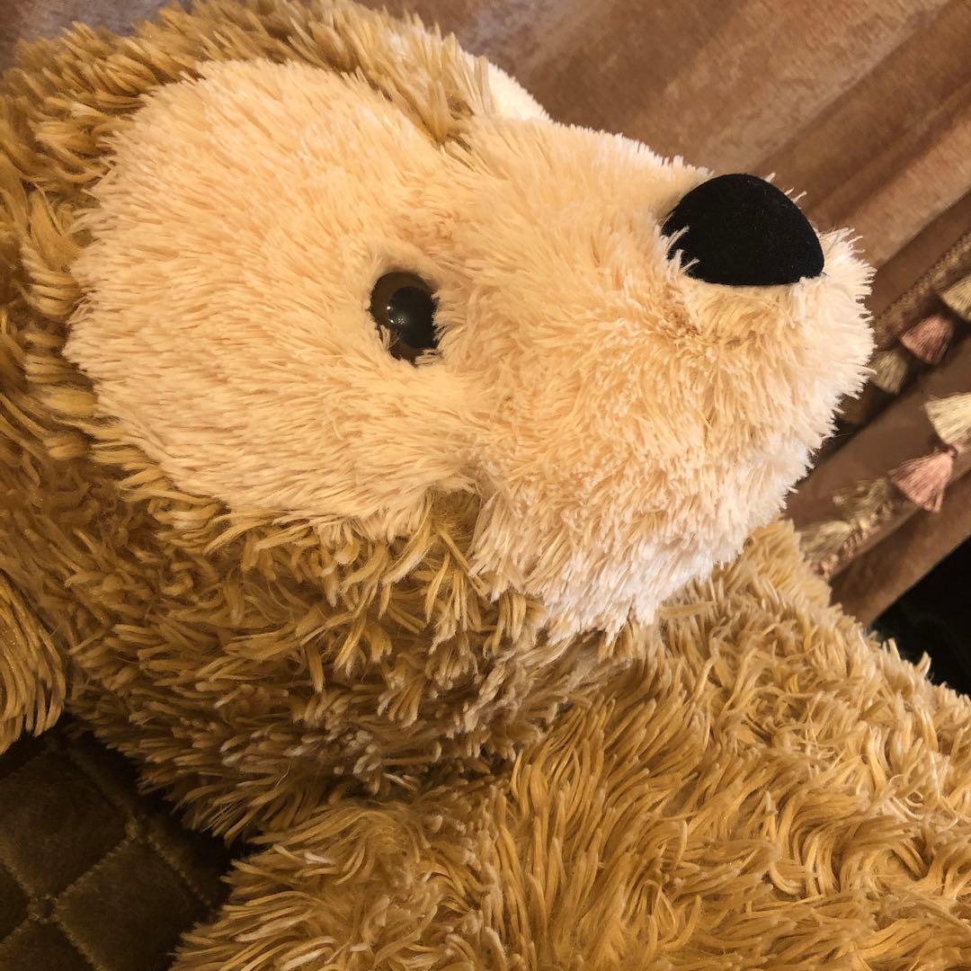 ④ ダッフィー毛長旧M