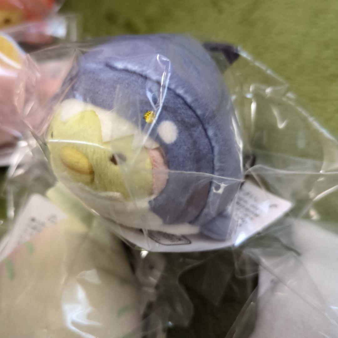 大絶滅展×すみっコぐらし　てのりぬいぐるみ　8種コンプリートセット