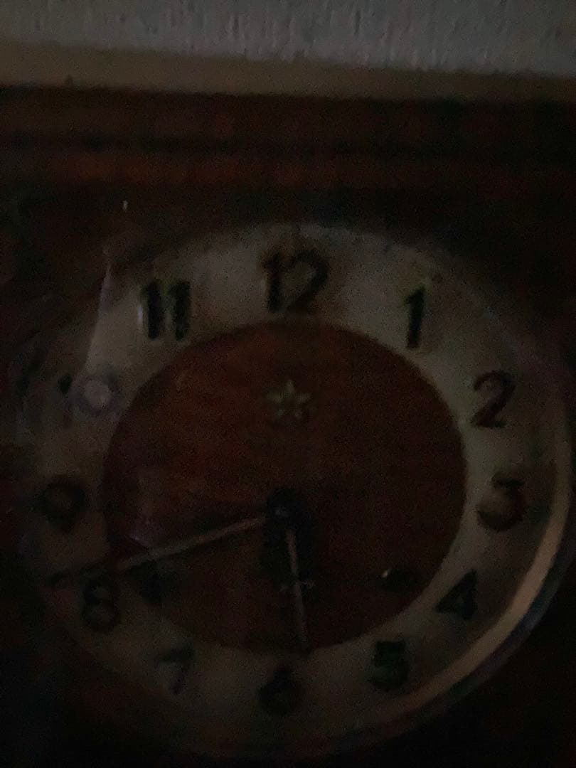 レッドテールChing chang gong 栄計舎 8日巻柱時計 稼働中