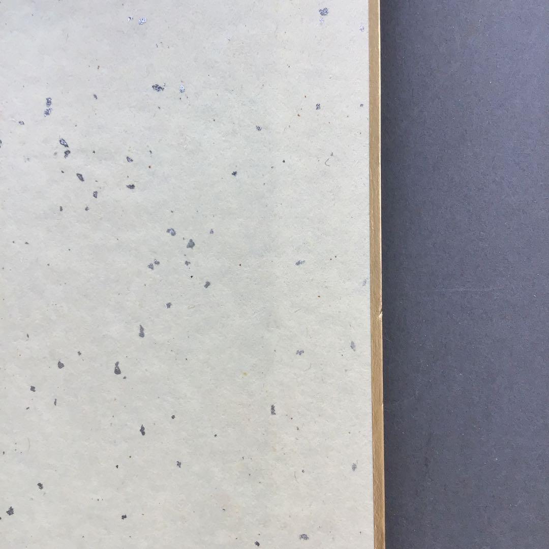 色紙￼摩詞般若波羅蜜多心経写経 水谷健一謹書 佐藤忠正謹製