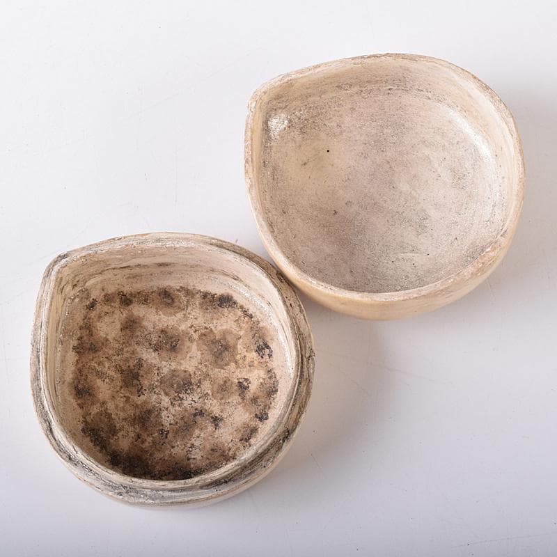 茶道具　白漆　貝文　貝形香合　花押あり　書付時代箱　V　R8327