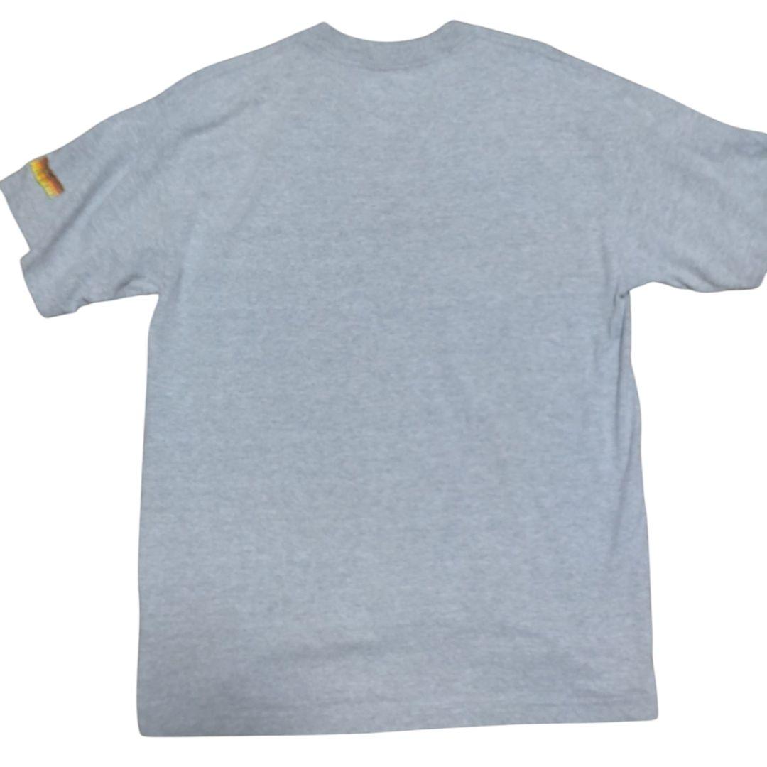 90s World Industries HELLRAISERS Tシャツ