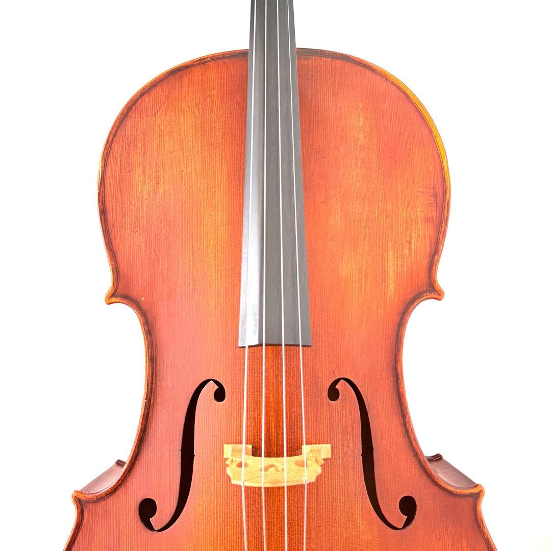 弦楽器 Gliga Strumenti musicali eseguiti 4/4