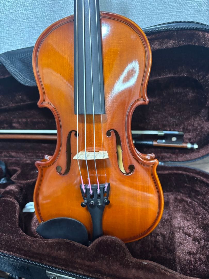 極美品✨ カルロジョダーノ VS-1 1/8 2015 分数バイオリン 弦楽器