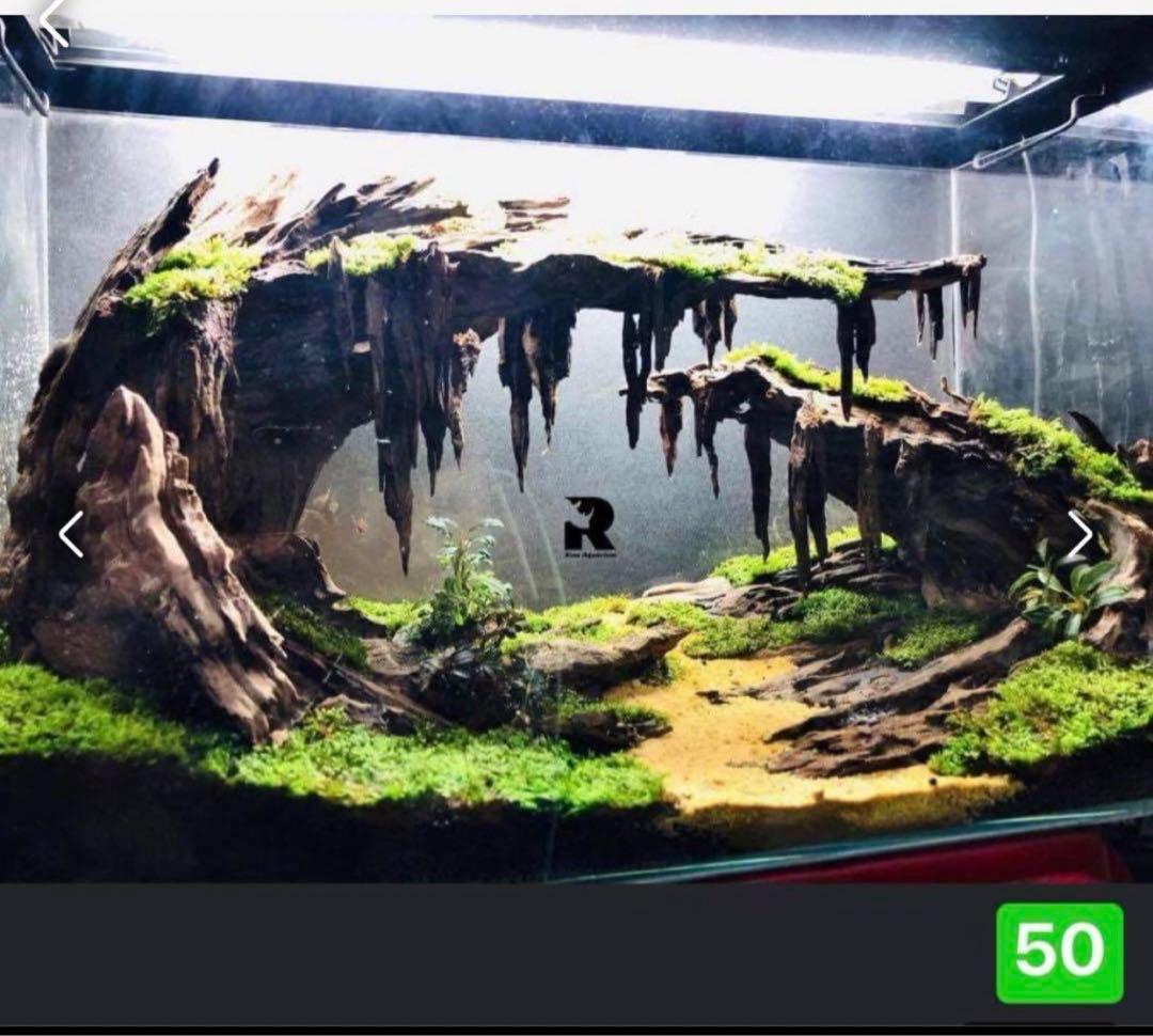 ブランチウッド 水草用の 流木。流木アクアリウム パルダリウム