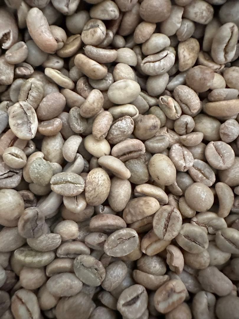 爆安【コーヒー生豆】 ウガンダ/ロブスタ/カウェリエステート