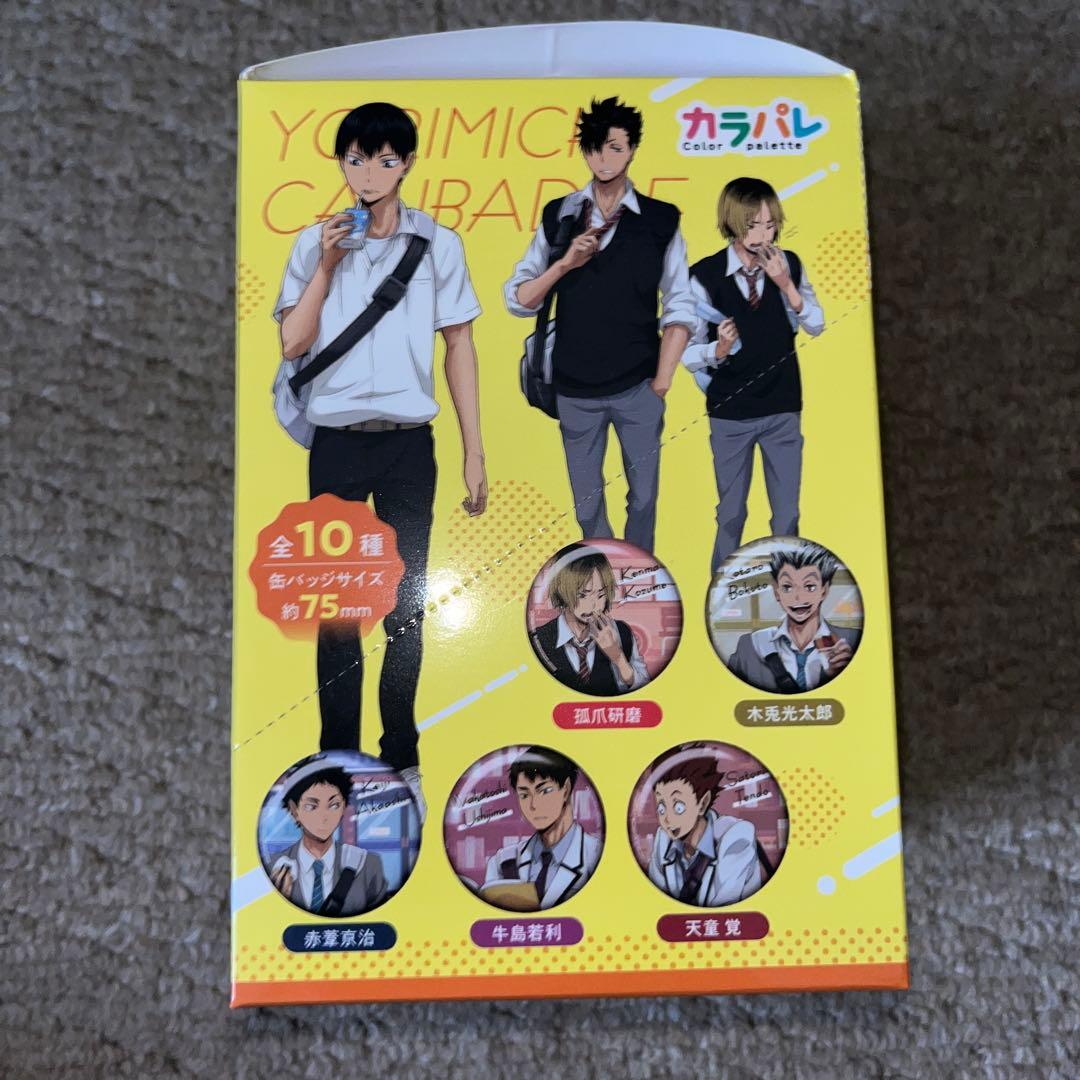 ハイキュー！！ カラパレ より道 缶バッジ 1box 10個セット - メルカリ