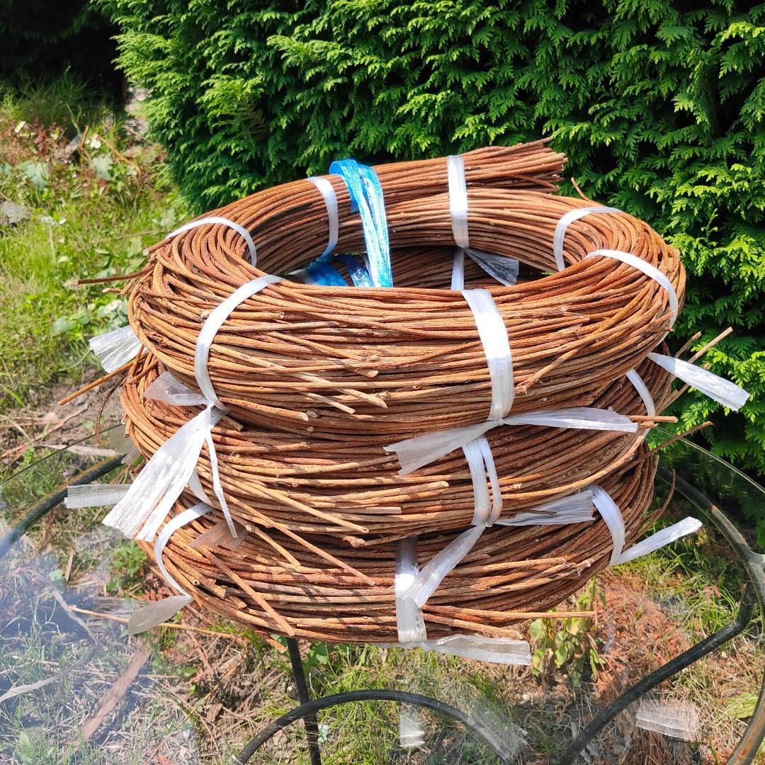 (委託品)青森県岩木山採取　あけび蔓　150cm～　3.2kg