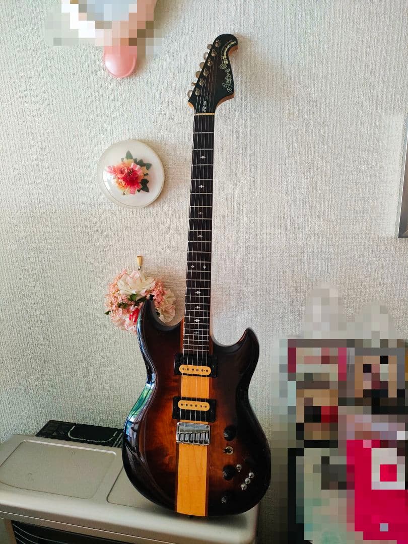 aria pro Ⅱ TS-500