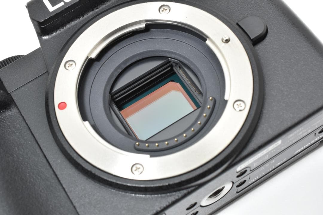 新品級□ショット数1290回□パナソニック LUMIX DC-G100 ボディ