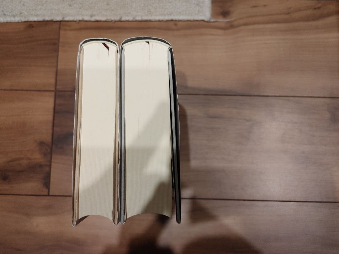 夢遊病者たち 第一次世界大戦はいかにして始まったか 1 2 セット