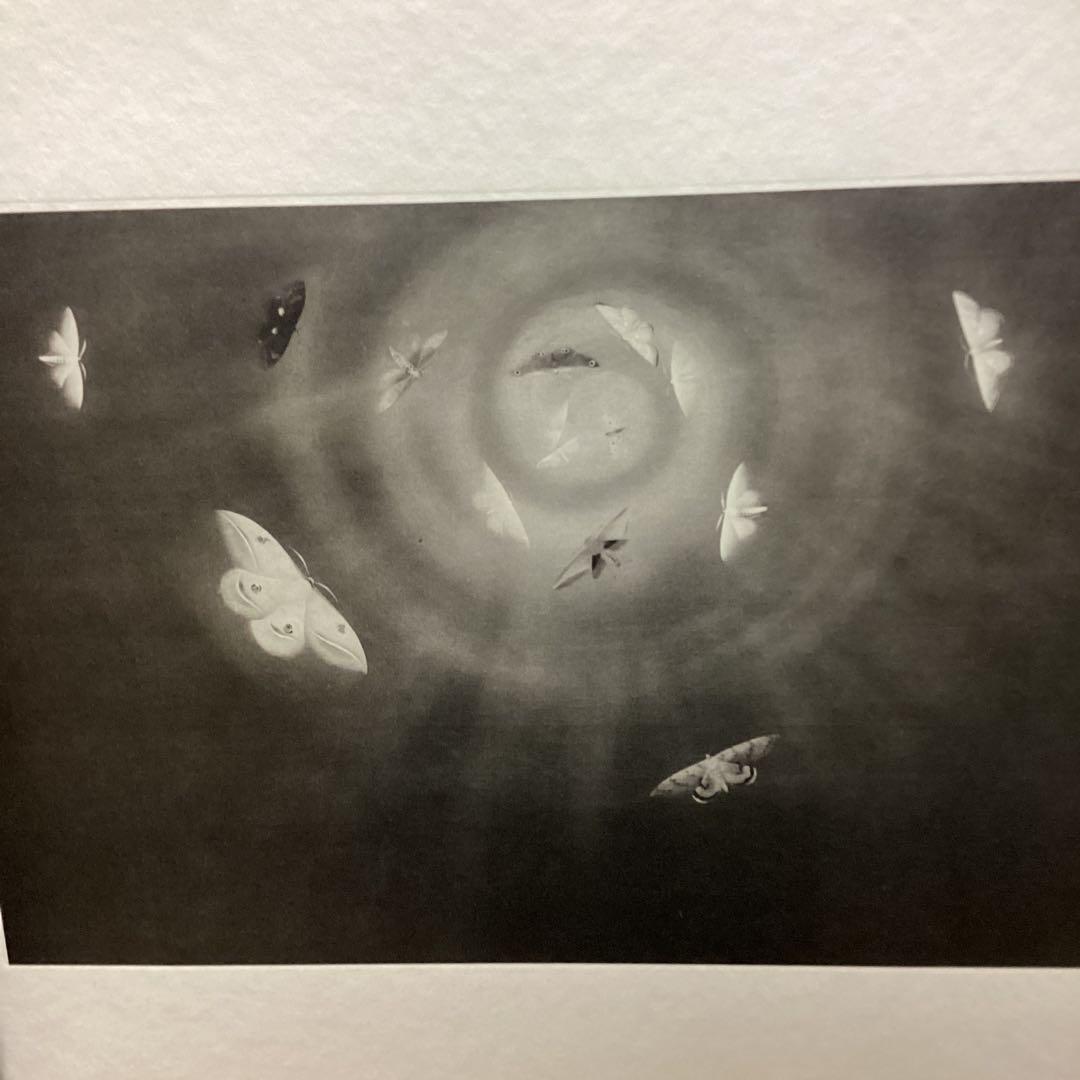 天才画家速水御舟　作品集大作編便利堂監修　画集NO 18 【昆虫二題粧蛾舞戯】