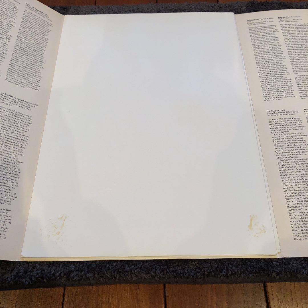 絵画ポスター　PICASSO ６枚セット