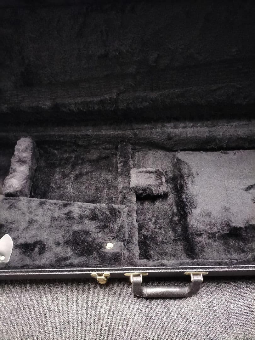 SCHECTER　ギター　ハードケース