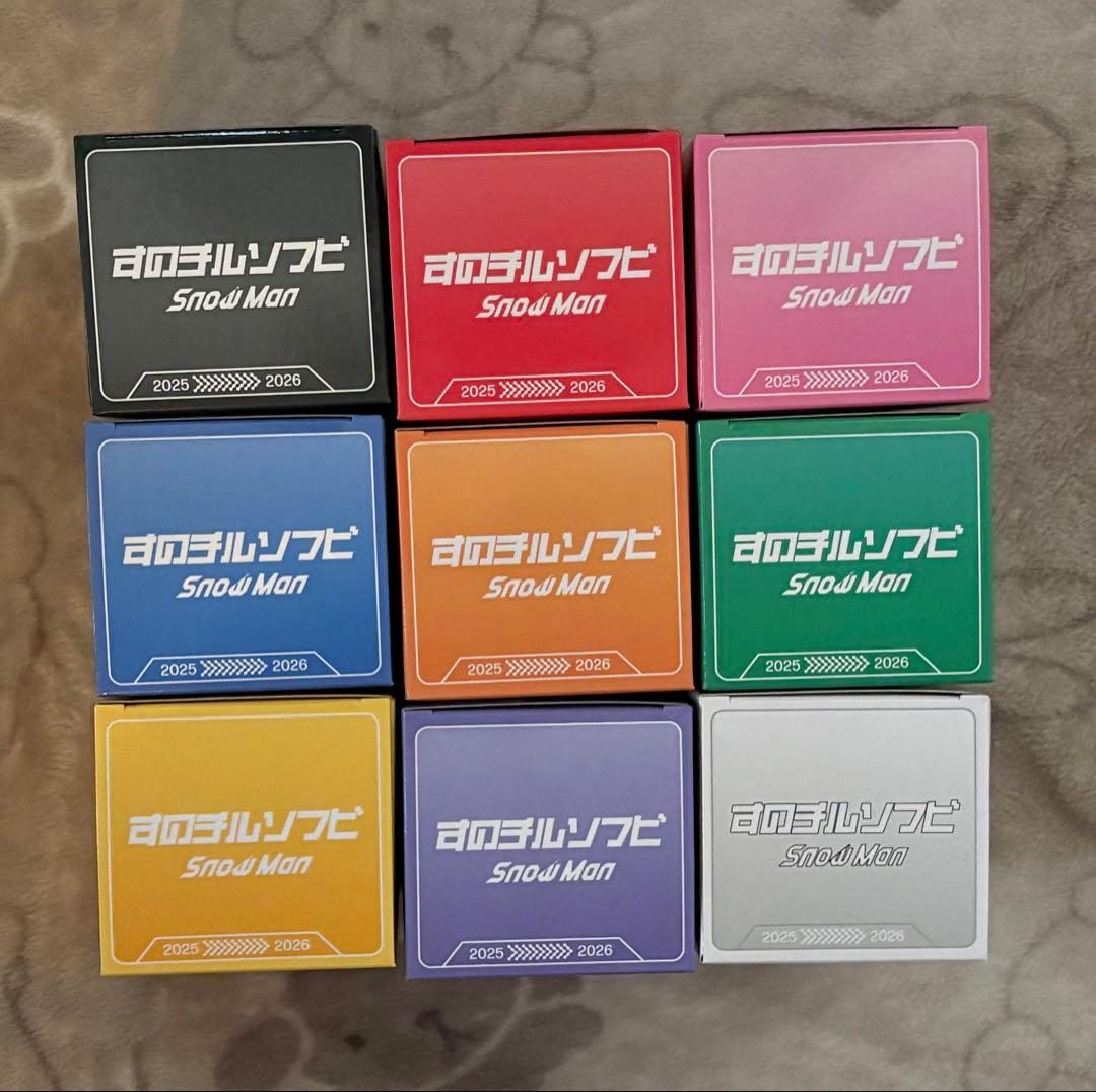 SnowMan ドームツアー2026 ONすのチルソフビ コンプリート 9体 - メルカリ