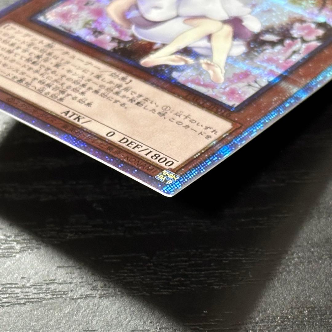 遊戯王 灰流うらら プリズマ 絵違い 2枚