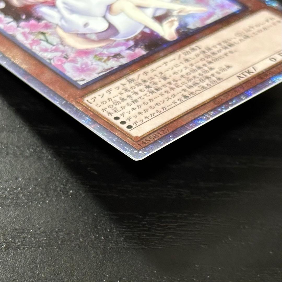 遊戯王 灰流うらら プリズマ 絵違い 2枚