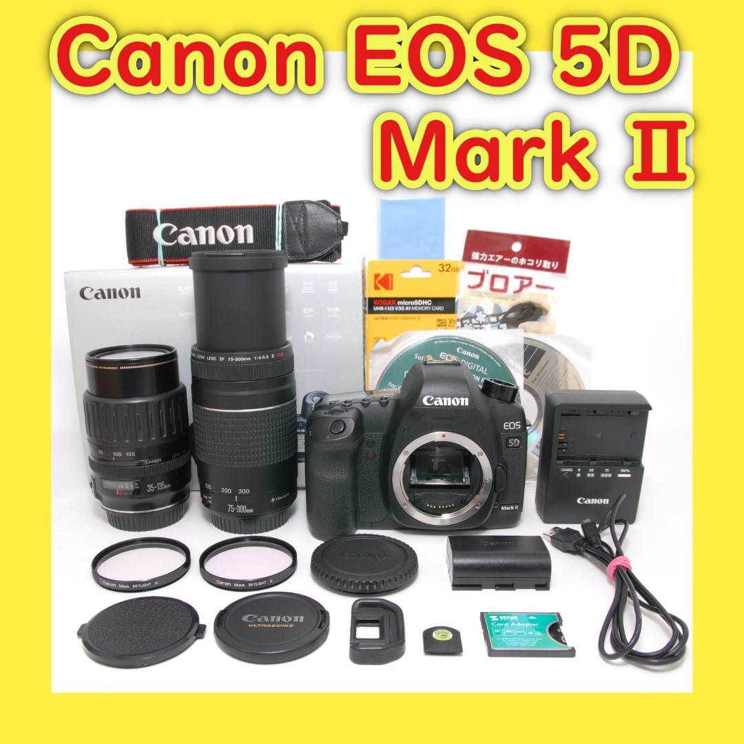 レンズ2個❣️Canon EOS 5D Mark ii ダブルレンズセット