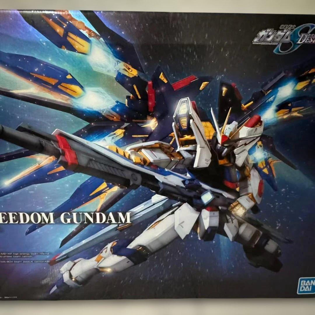 新品　PG 1/60 ストライクフリーダムガンダム