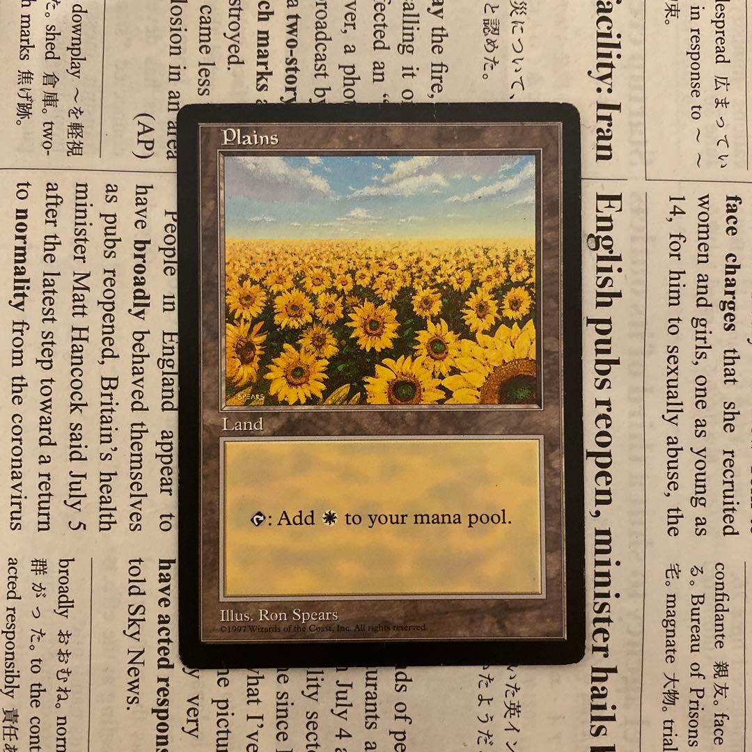 MTG APAC Plains 平地 ひまわり 基本土地
