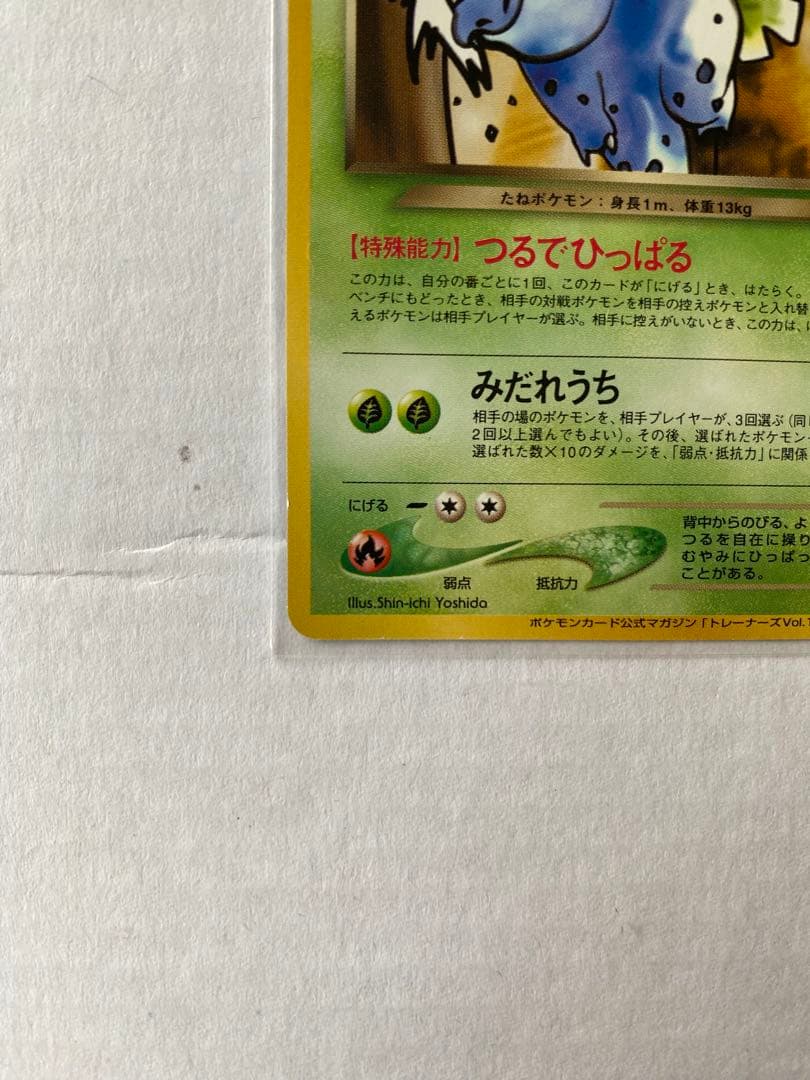 【旧裏ポケカ/プロモカード】わるいフシギバナ&わるいフシギソウ