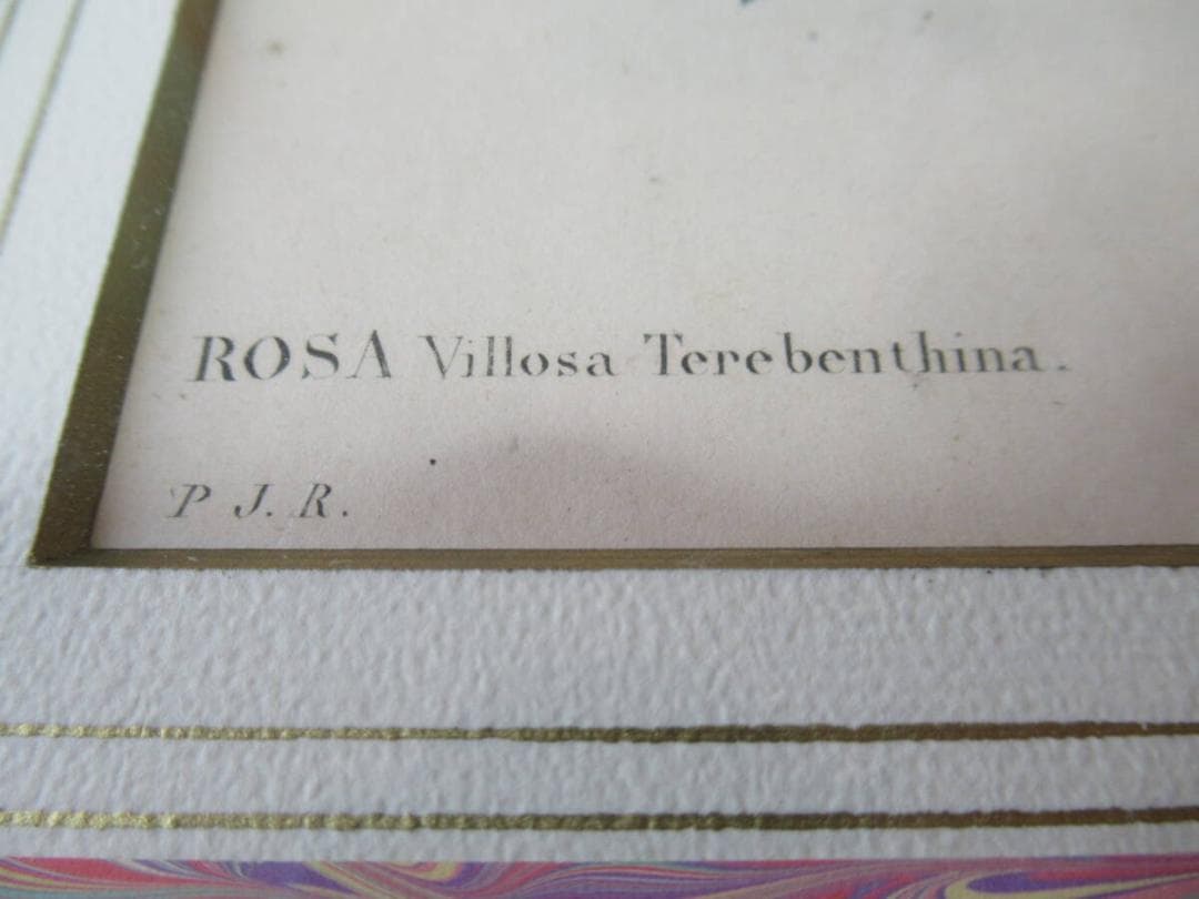 オンライン ショッピング 通販ホビー・楽器・アート - 美品 三越発売