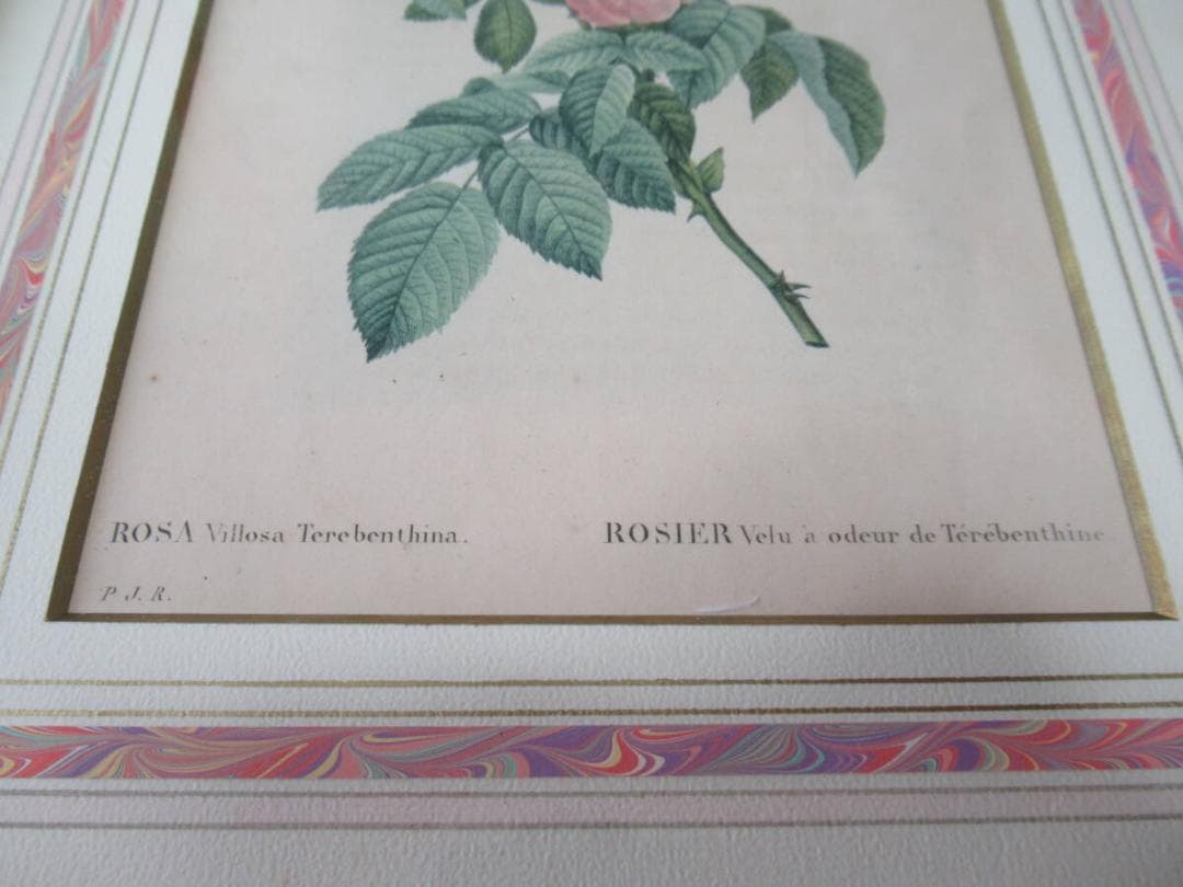 オンライン ショッピング 通販ホビー・楽器・アート - 美品 三越発売