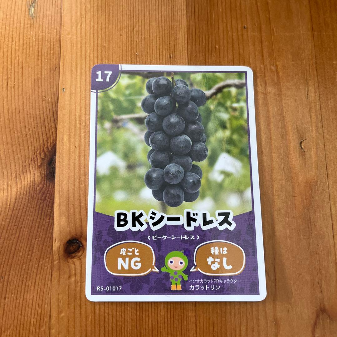 長野県 生坂村 ぶどうカード 4種類 - メルカリ