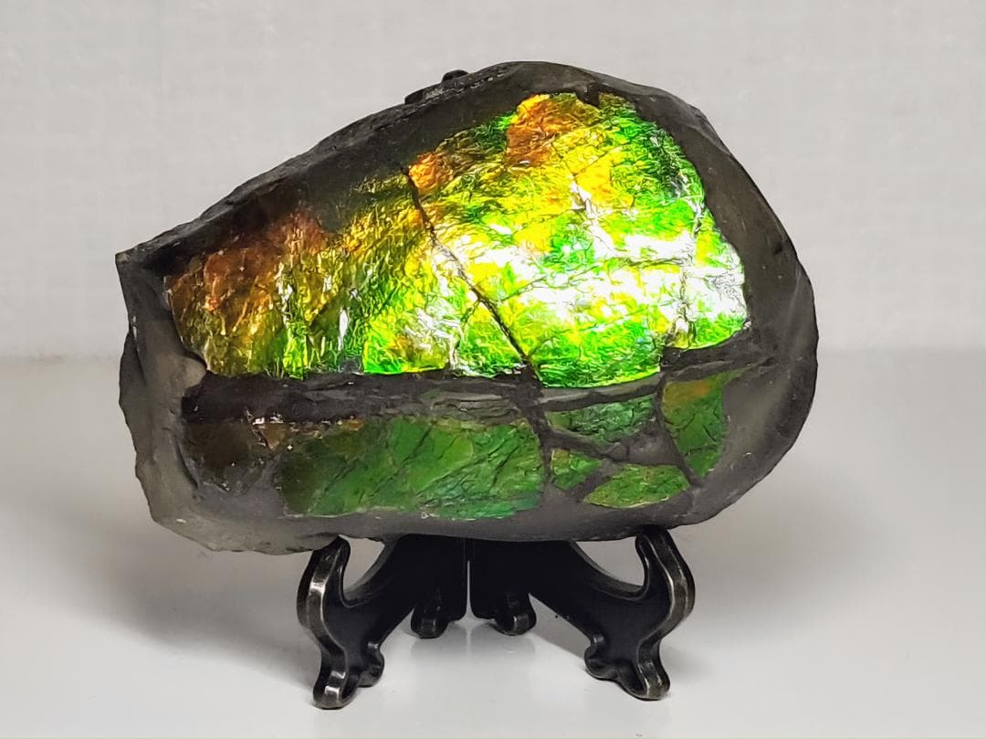 アンモライト 244g 化石 アンモナイト 鑑賞石 宝石 原石 自然石 鉱石