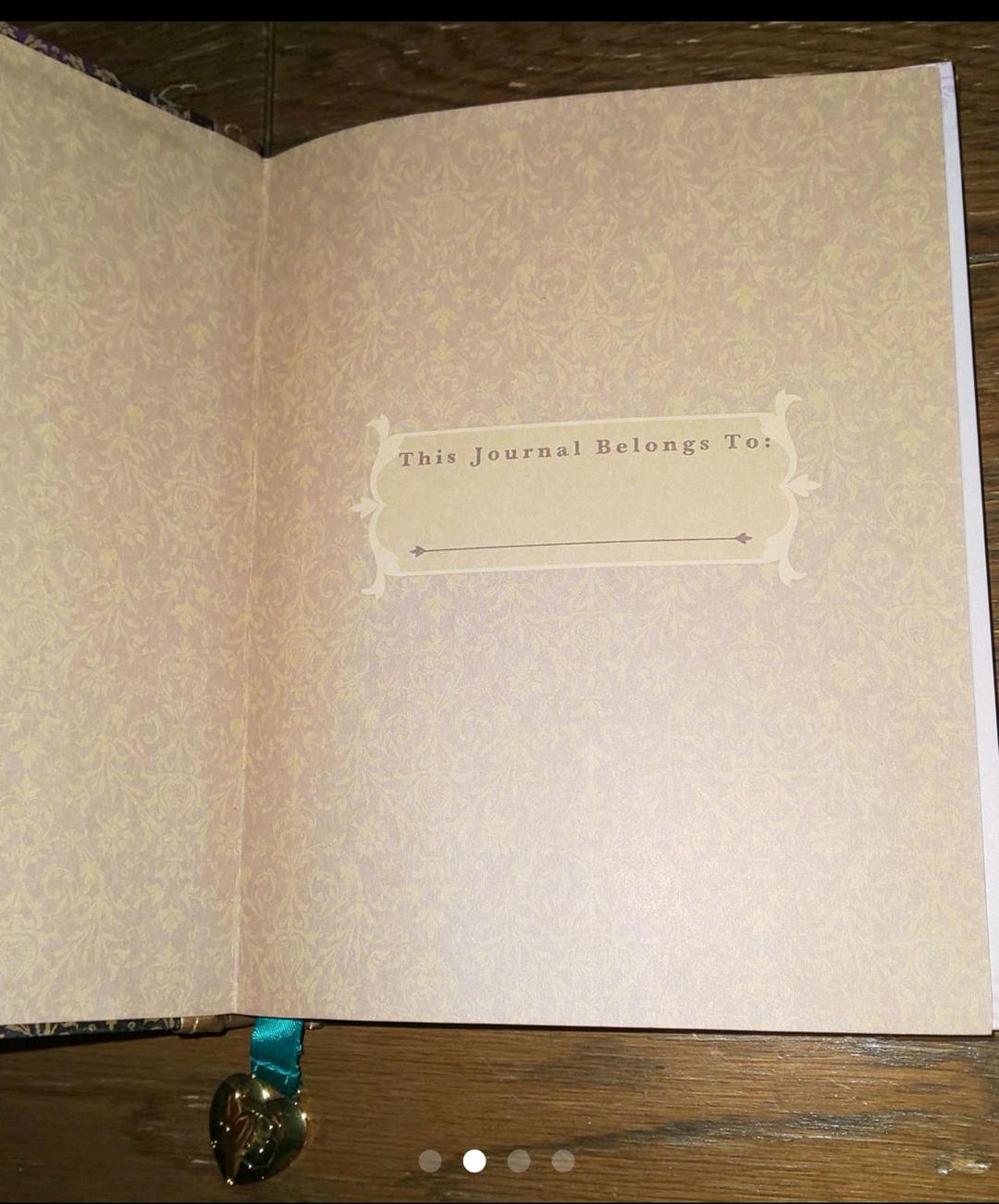 日本未発売 Aladdin アラジン ジャスミン 手帳 ノート ディズニー