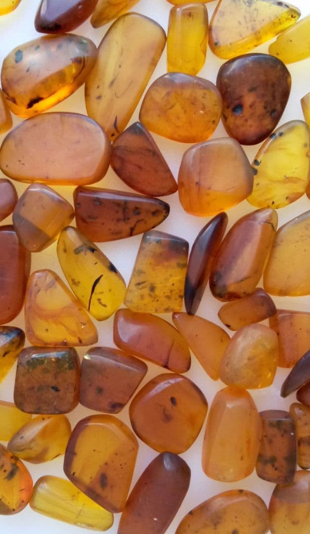 虫入り琥珀　可動水泡大1　化石　ミャンマー　カムティかタナイ産　9900万年前