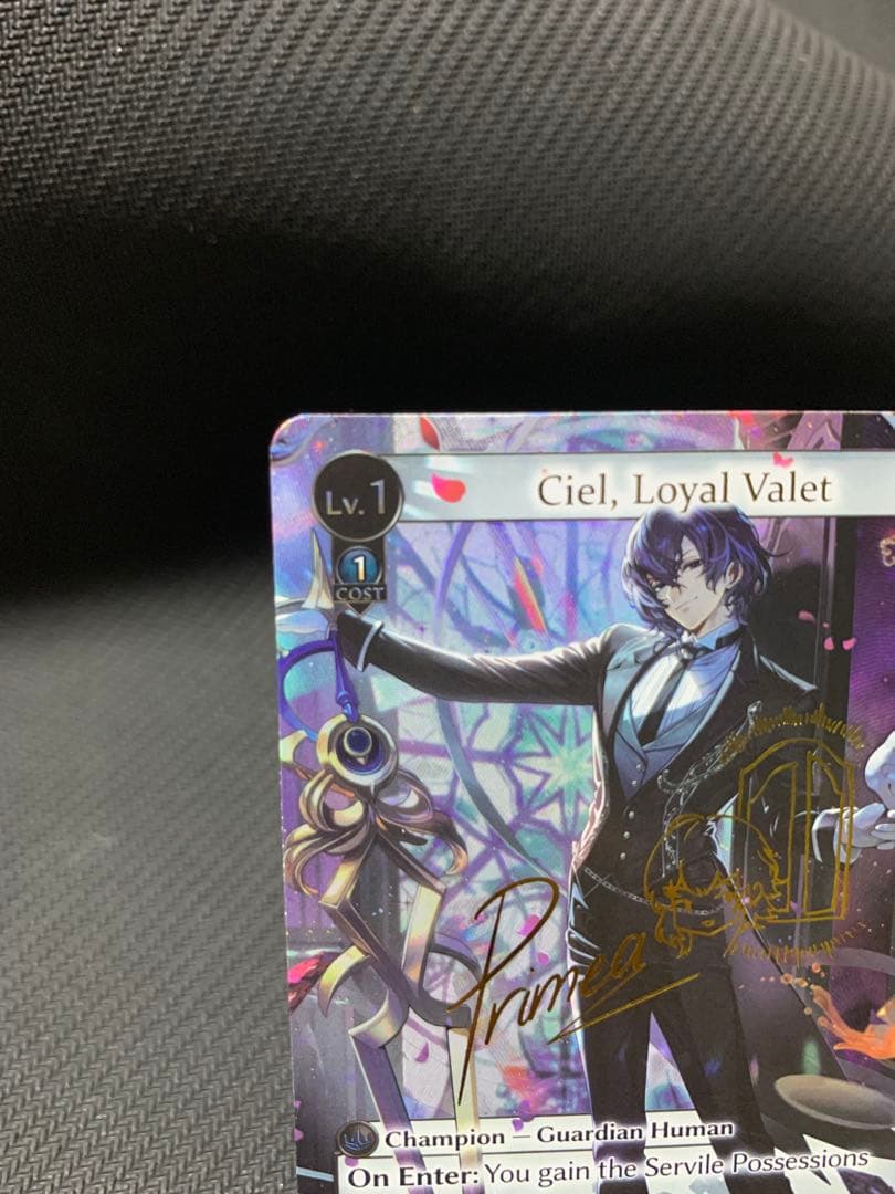レ*ン様 Grand Archive Ciel Loyal Valet CSR