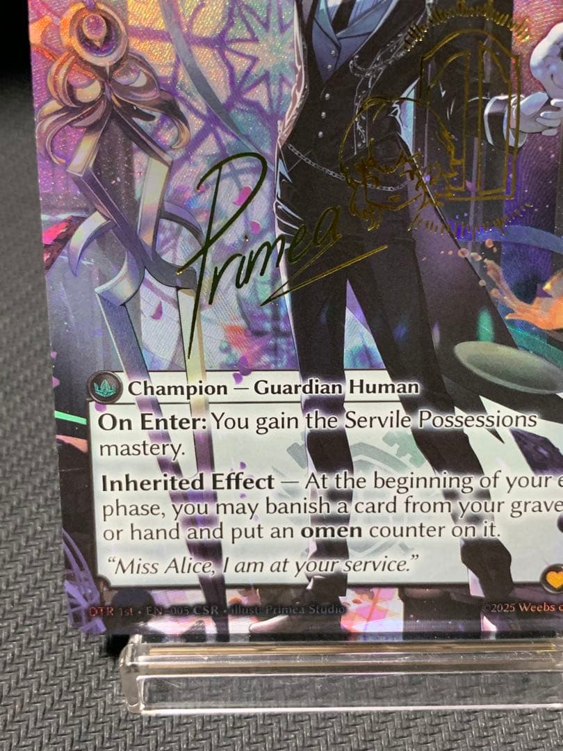 レ*ン様 Grand Archive Ciel Loyal Valet CSR